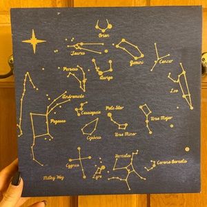 Constellations Canvas Wall Decor